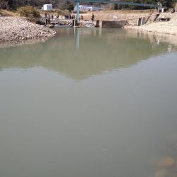 濁りの強さに苦戦